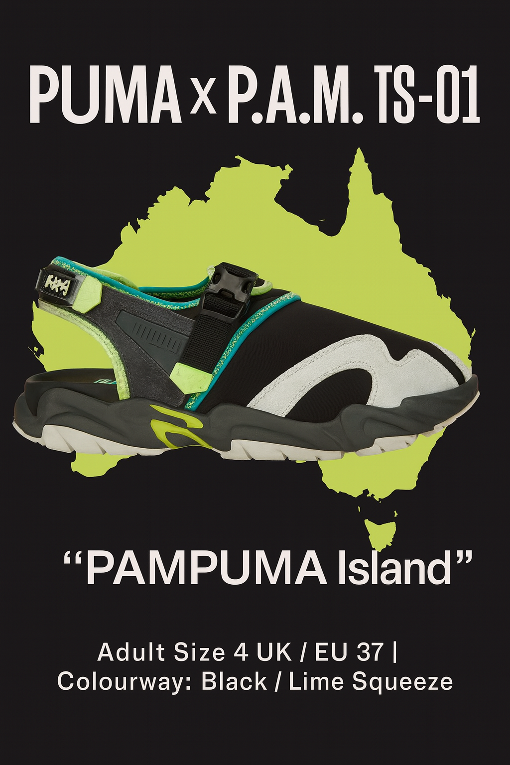 Puma x P.A.M. TS‑01 PAMPUMA Island 290451‑01 Trainers